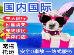喀什机场快运国际宠物托运 【国